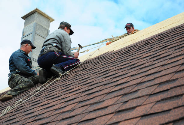Best Roof Gutter Cleaning  in Colbert, OK
